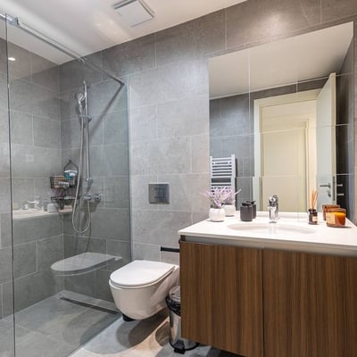 Rental of a bright 3-room apartment, 77 m², BW Eterna, Belgrade Waterfront, Belgrade, Serbia